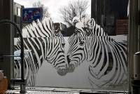 84-raamdecoratie-raamfolie-zebra-hoorn2-500x333